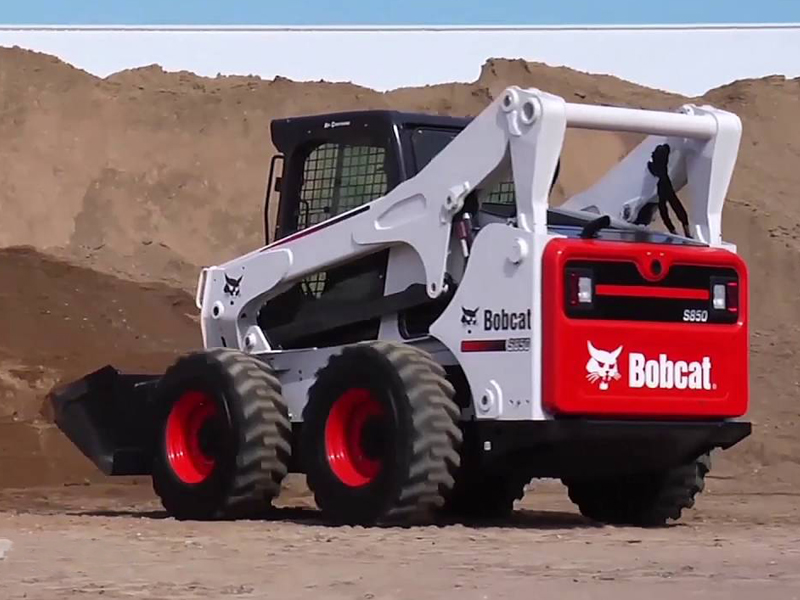 Bobcat